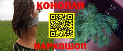 индика Обь