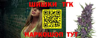 индика Обь