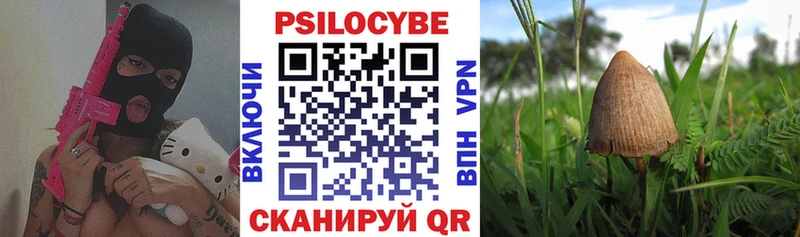 Псилоцибиновые грибы MAGIC MUSHROOMS  купить наркотики цена  Сатка 
